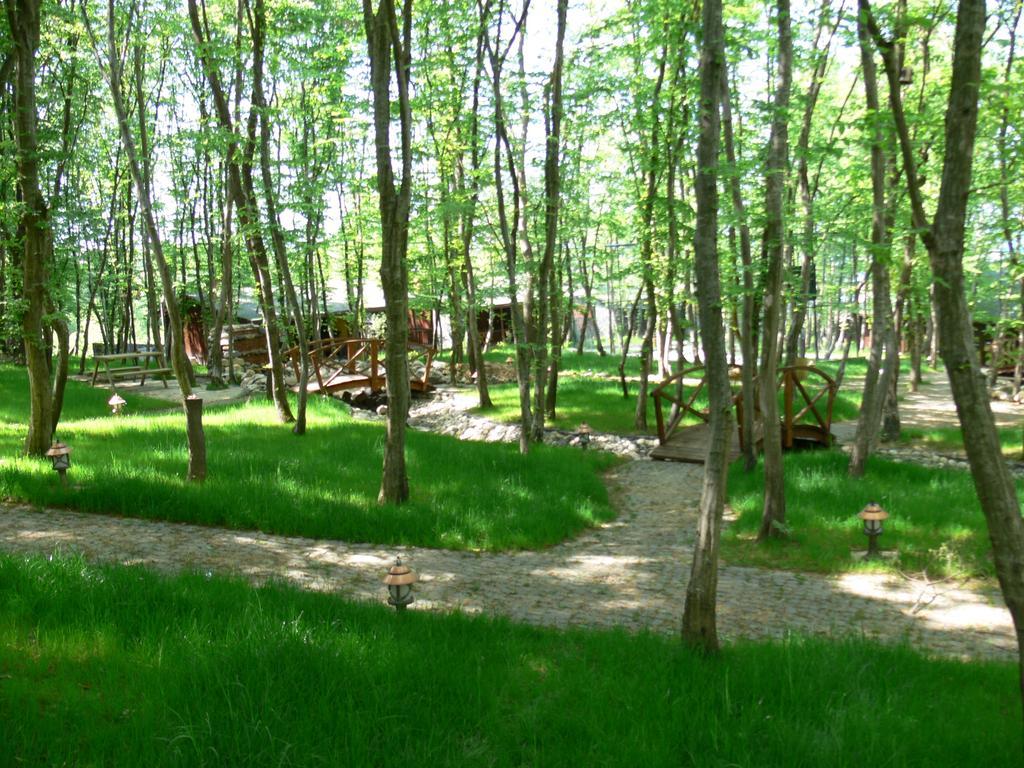 Dolunay Fanizan Hotel Fatsa Екстер'єр фото