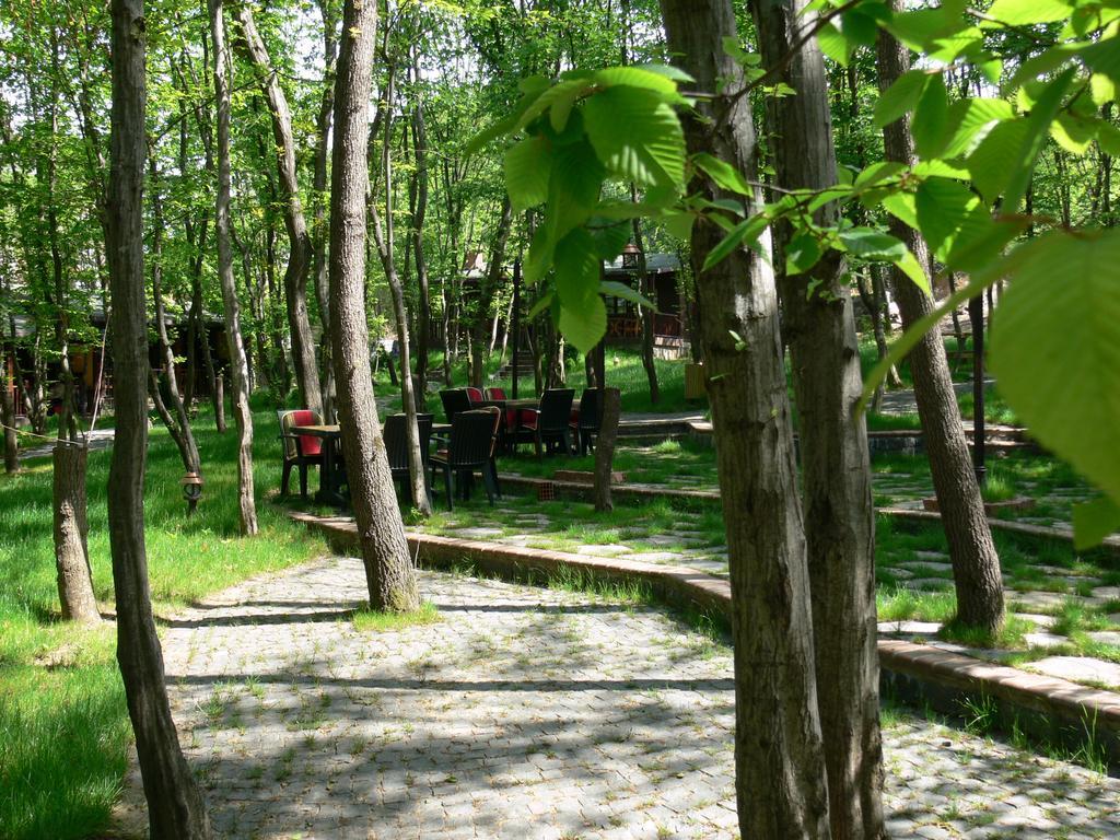 Dolunay Fanizan Hotel Fatsa Екстер'єр фото