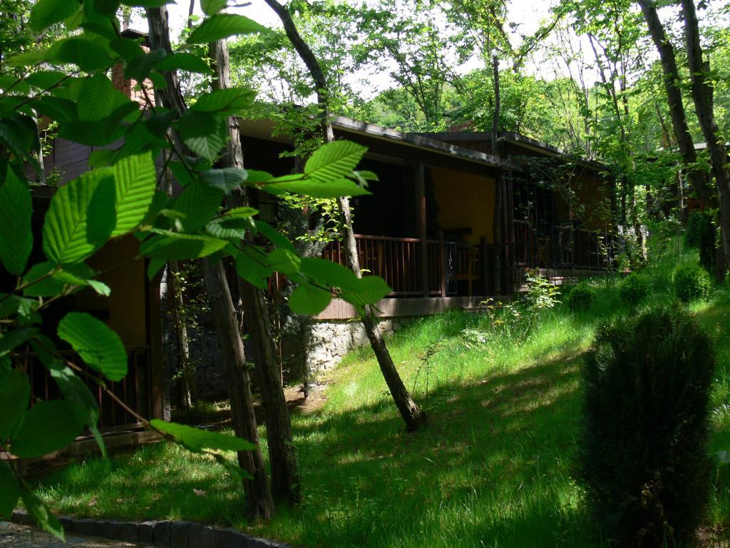Dolunay Fanizan Hotel Fatsa Номер фото